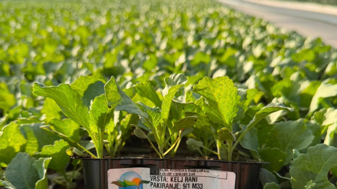 Agro-Neretva