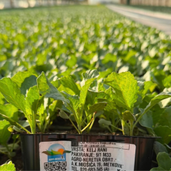 Agro-Neretva