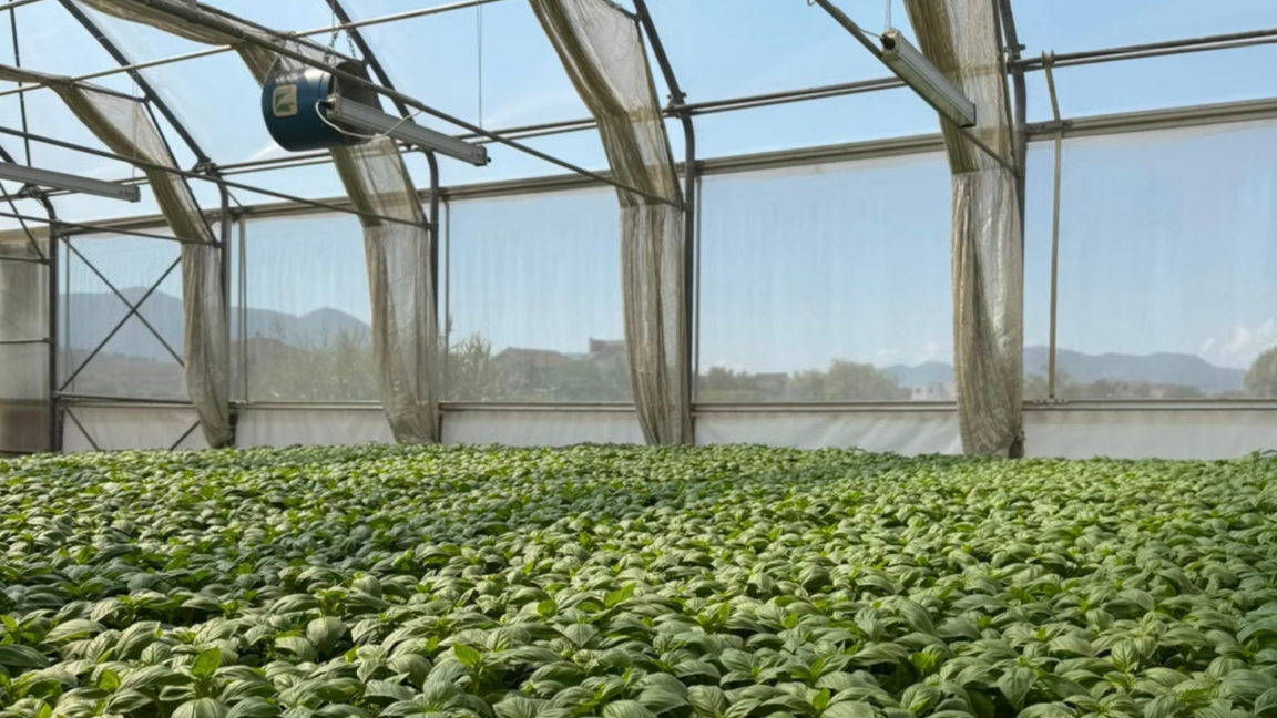 Agro-Neretva