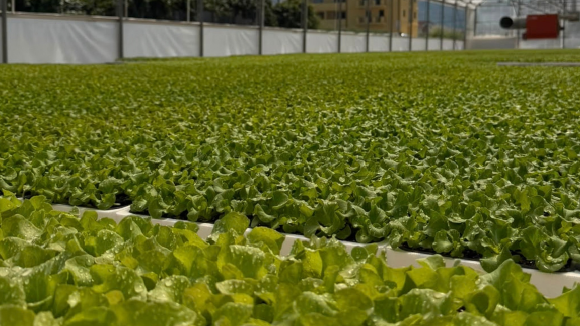 Agro-Neretva