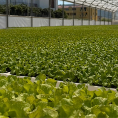 Agro-Neretva