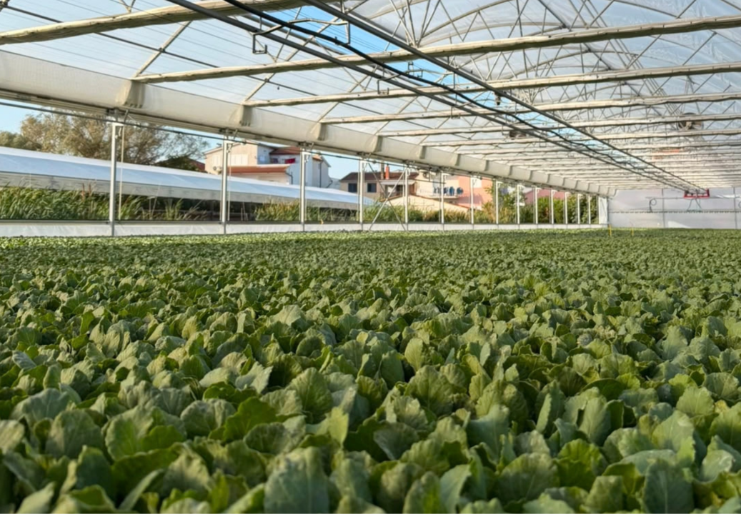 Agro-Neretva