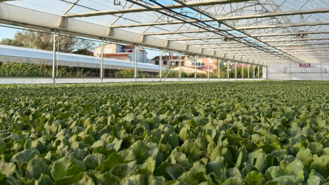 Agro-Neretva