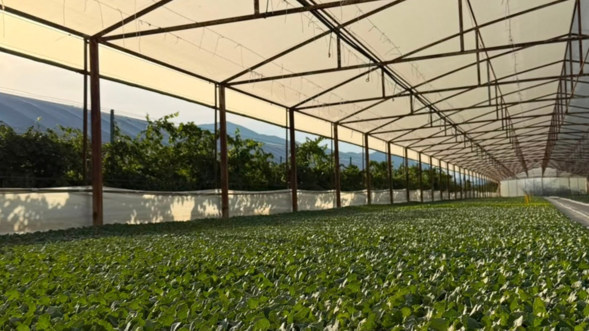 Agro-Neretva