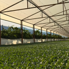 Agro-Neretva