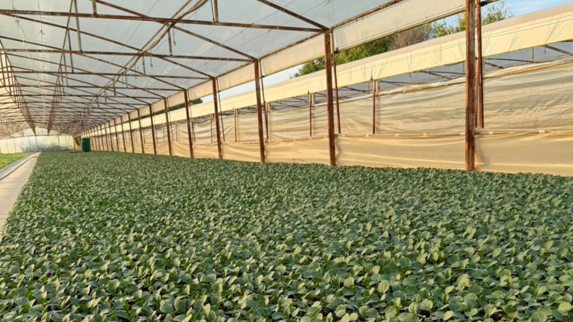 Agro-Neretva