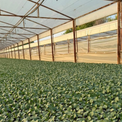 Agro-Neretva