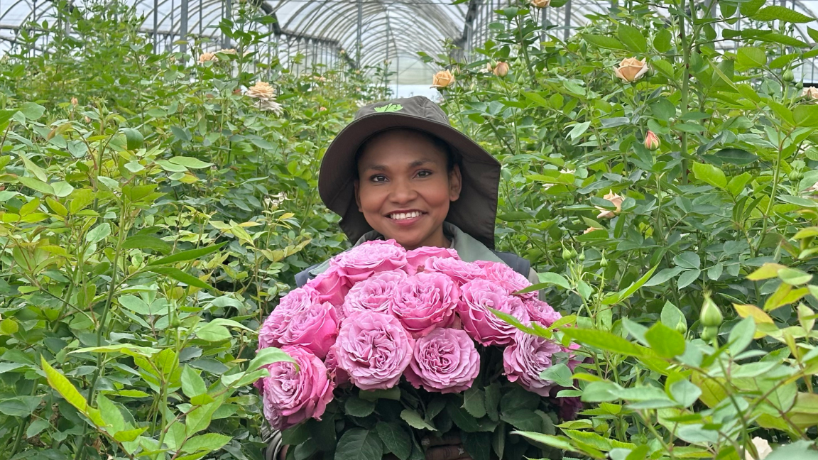 Bellaflor