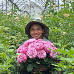 Bellaflor