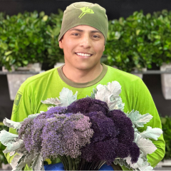 Bellaflor