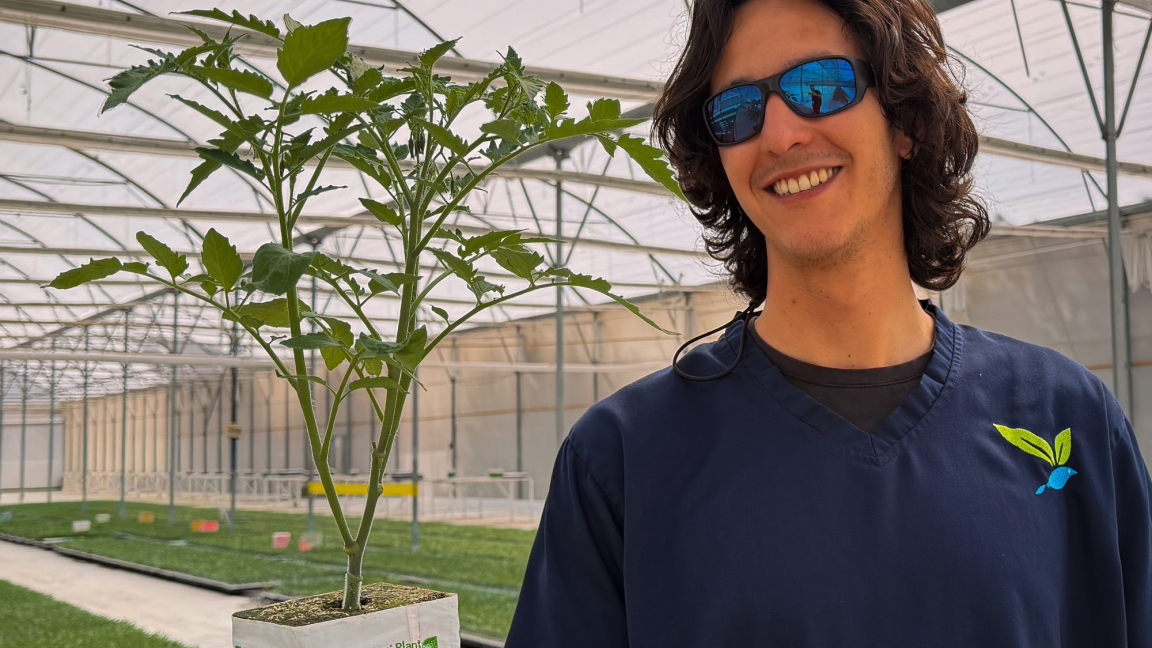 Plantanova