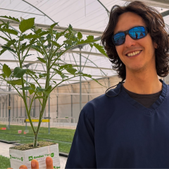 Plantanova