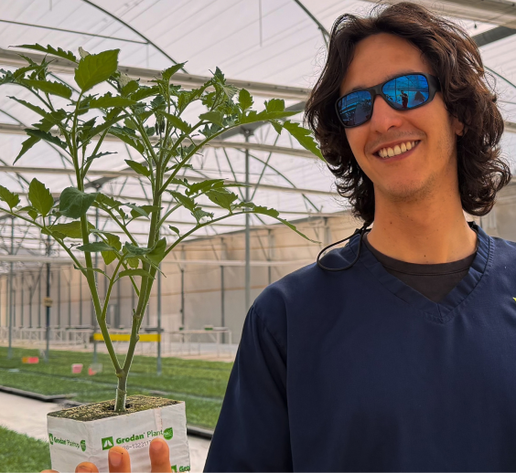 Plantanova