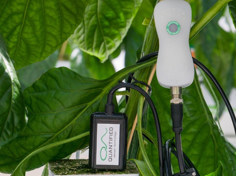 Quantified Sensor Technology